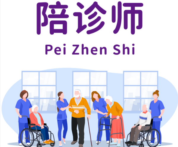 陪诊师：成为专业陪诊师的必备条件与考证指南