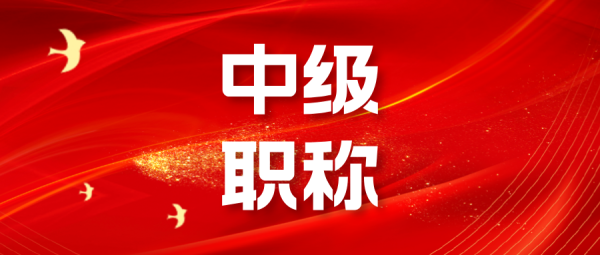 湖南土建中级职称专业全解析：你的职业发展指南